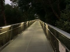 -仙岳公园