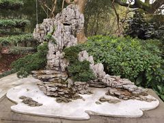 -南山植物园