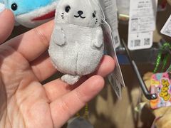 -大阪海游馆