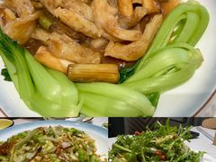 -三合园水饺(二马路店)