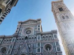 -圣母百花大教堂穹顶