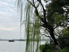 -西湖游船