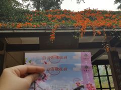 -桃花涧