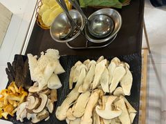 -蘑统田下·野生菌火锅