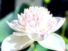 -Tims天好咖啡·贝果(东吴龙湖天街店)