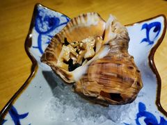 海螺-吉兆·料理(红梅南路店)