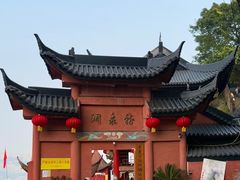 -龙泉洞(沙坪坝区)