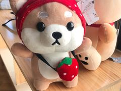 -柴犬小屋·柴餐厅·狗咖食堂(金鼎广场店)