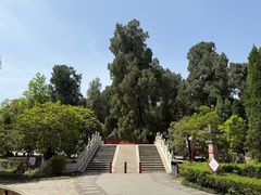 -武侯墓风景区