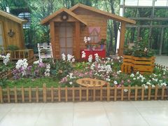 android_upload_pic-沈阳植物园