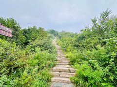 -北京西山国家森林公园