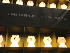-line friends(明洞旗舰店)