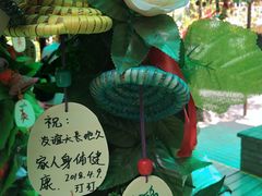 -呀诺达热带雨林