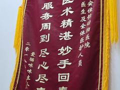 -佳怡动物医院·平价24小时·猫专科骨外科