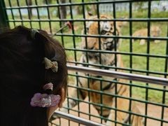 -深圳野生动物园