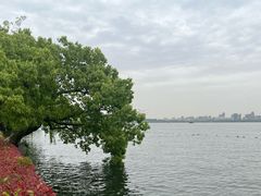 -浙江西子宾馆·牡丹厅