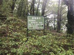-牛背梁国家森林公园