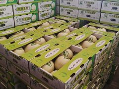 -西郊国际农产品交易中心
