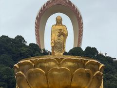 -庐山风景名胜区-东林大佛