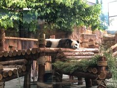 -泉州海丝野生动物世界