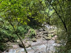 -西岭雪山大飞水景区