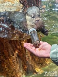 -Zoolung Zoolung动物主题公园(海信广场店)