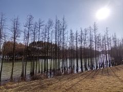-苏州太湖国家湿地公园