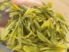 -十八棵（老龙井）御茶园(老龙井店)