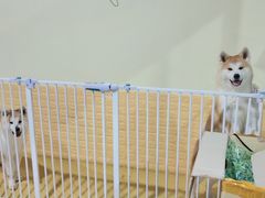 -欧亚汇集(飞跃路店)