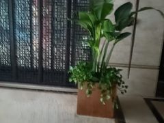 -洛阳宴·洛阳菜(南昌路店)