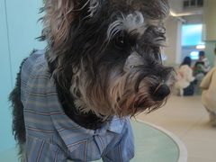 -怪兽屋·羊驼·猫咖·狗咖(俊华广场店)