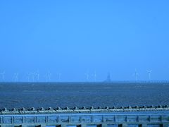 -南汇嘴观海公园