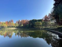 -黄兴公园