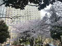 -中国银行(上海市新闸路支行)