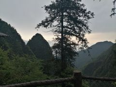 -峨眉山风景名胜区