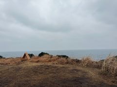 -涉地可支