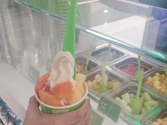 -Salud撒露欧洲冻酸奶(五道口购物中心店)