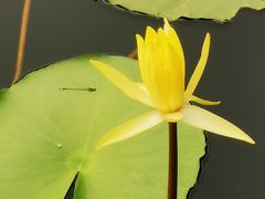 -荔湾湖公园