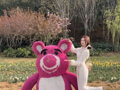 -洛阳郁金香牡丹园