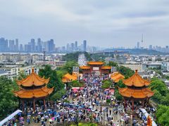 -黄鹤楼公园(黄鹤楼)