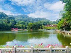 -广州市帽峰山景区