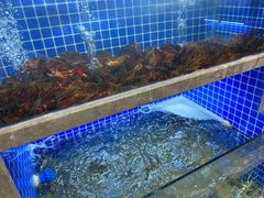 水产区-香蟹园金湖龙虾(金磐路旗舰店)