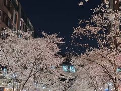 -新江湾城公园