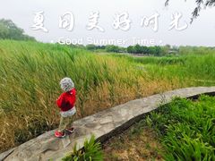 -永定河休闲森林公园