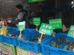 -召稼楼永茂昌粽子大王
