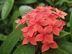 -美的鹭湖探索王国