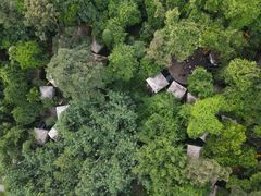 -天门沟九州驿站树上汤泉