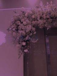 -Yestar杭州艺星医疗美容医院