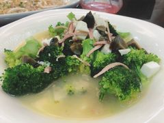 -新南华大酒店(广中店)