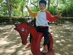 -宿豫区运河湾森林动物园